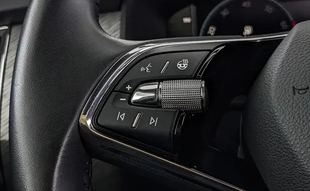 Skoda Kodiaq, I Рестайлинг — фото 10