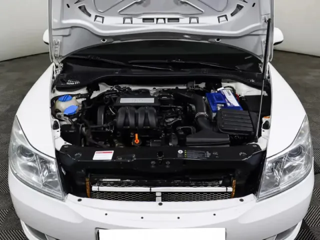 Skoda Octavia, II (A5) Рестайлинг — фото 11