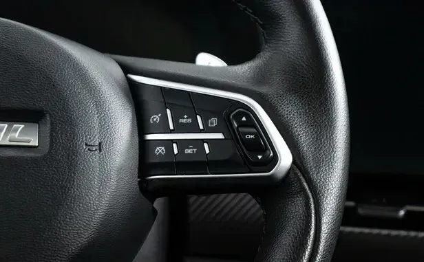 Haval F7x, I — фото 16